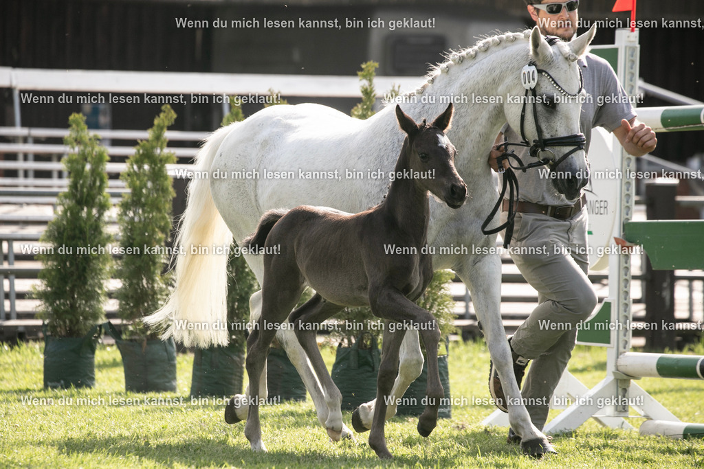 598A6942 | photographylinaismer - Realisiert mit Pictrs.com