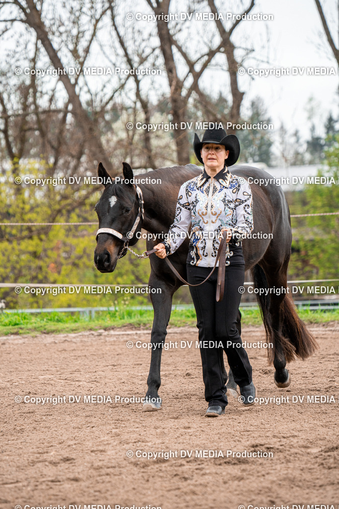 BA300135 | dv-media-shop - Realisiert mit Pictrs.com