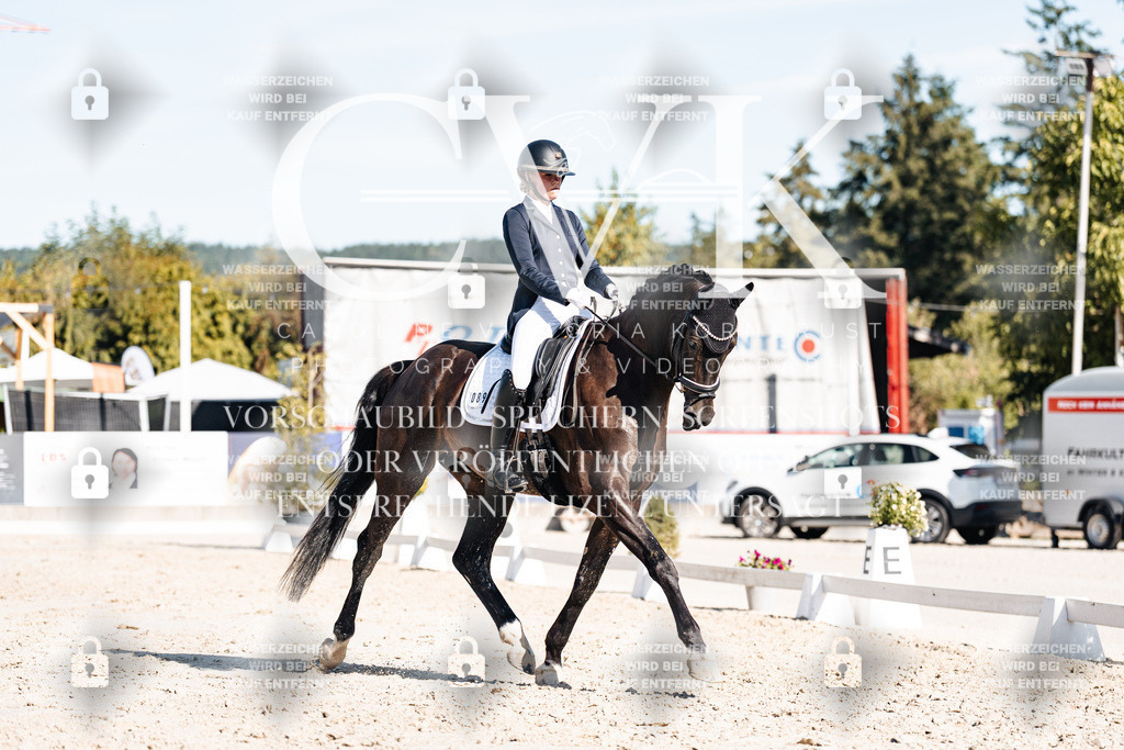 CK907856 | Turnierfotografie Pferdefotografie Trier Rheinland-Pfalz Pferdesport Reitsport Tierfotografie Sportfotografie Pferdevideo Pferdevideografie Equestrianvideography equestrianphotography  - Realisiert mit Pictrs.com