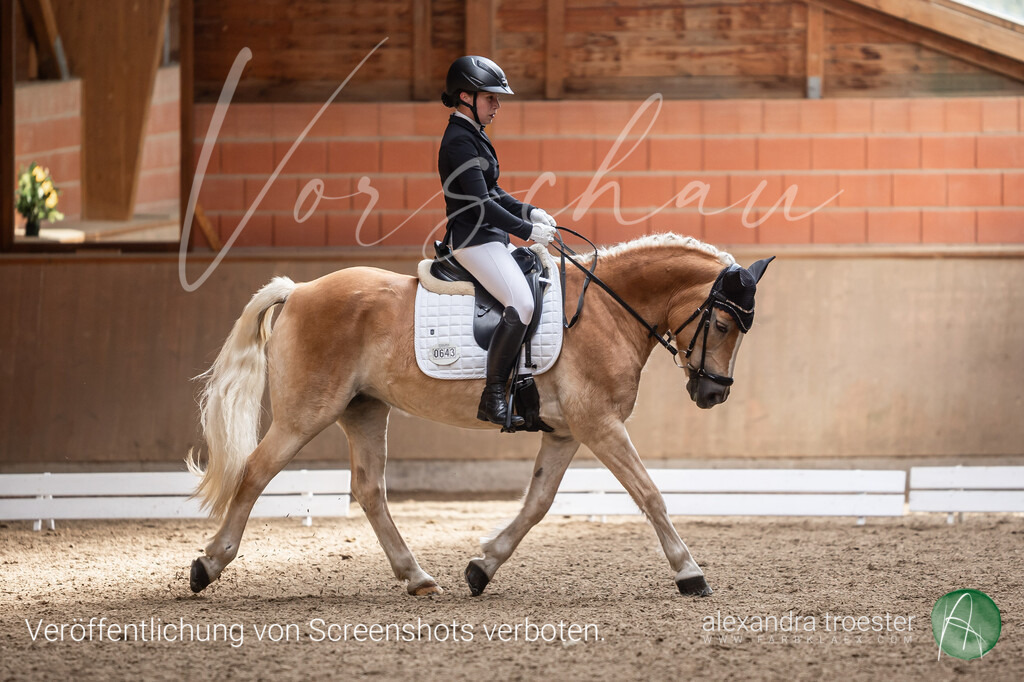 250913_Barop_09_068 | Farbklaex - Turnierfotografie - Realisiert mit Pictrs.com