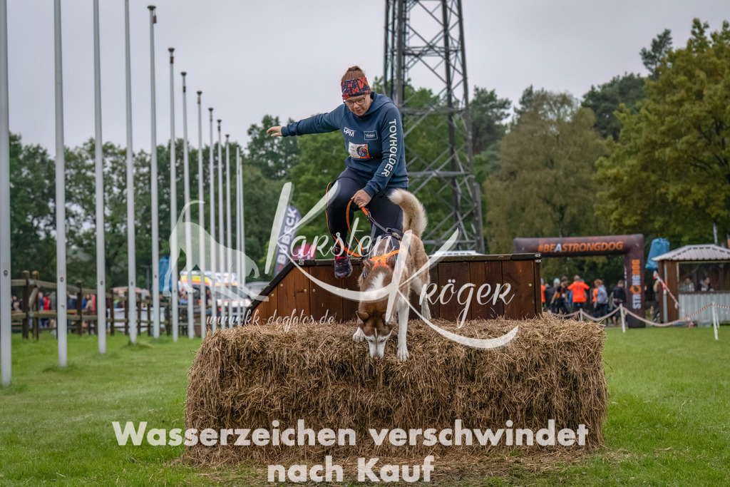 1201--18 | kk-dogfotos