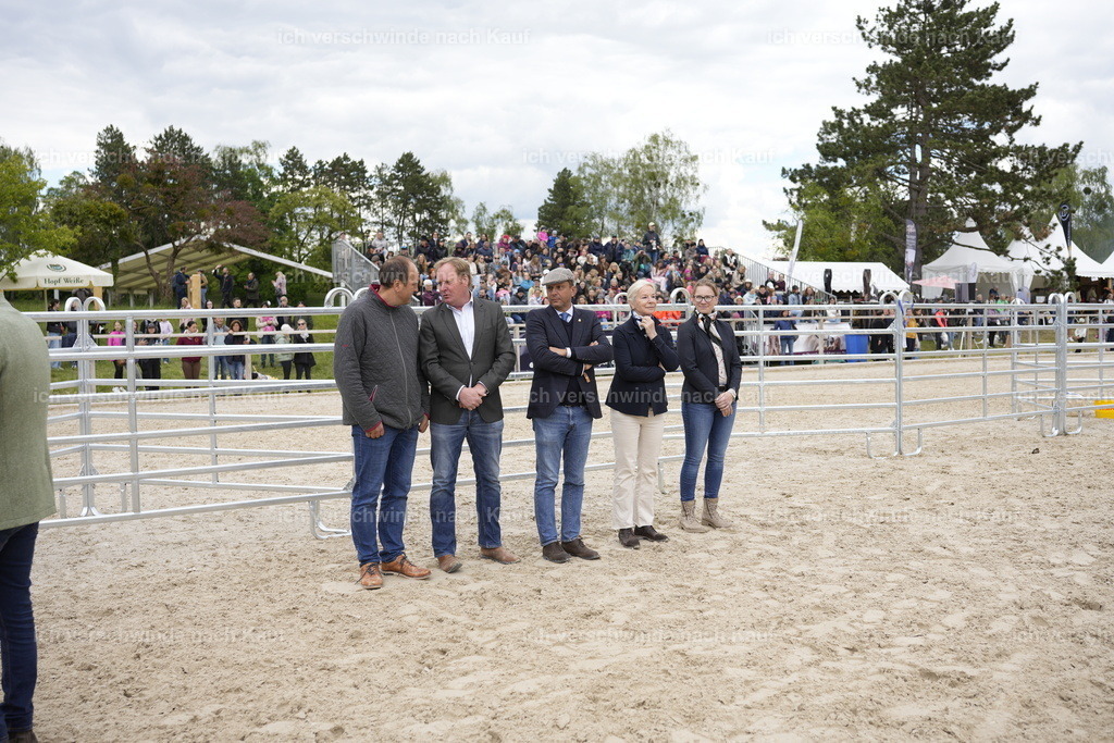 PI26_BTS_COW_Stoibphotography_A749737.JPG | working equitationturnier fotograf videograf stoibphotography marixx film working equitation deutschland reitsport turnierfotografie eventfotografie equestrian events