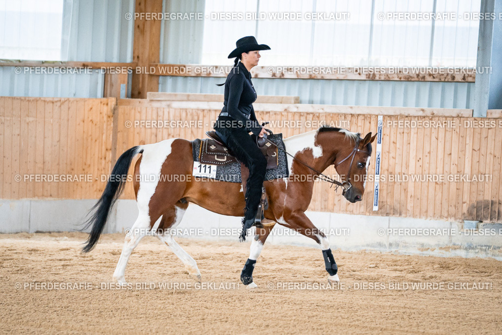 DSC08416 | Pferdegrafie