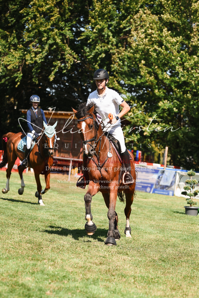 DSC_2954 | Pferde- und Turnierfotografie in Westsachsen. Pferdeportraits, Auftragszeichnungen und intuitive Kunst.