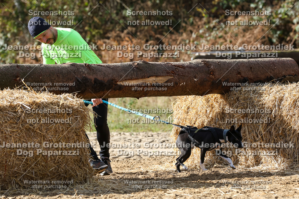 Dog Paparazzi - Strongdog 10-25-5486 | Dog Paparazzi Jeanette Grottendiek Fotografie & Videografie - Realisiert mit Pictrs.com