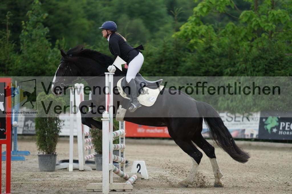 DSC07608 | equestrian-live-com