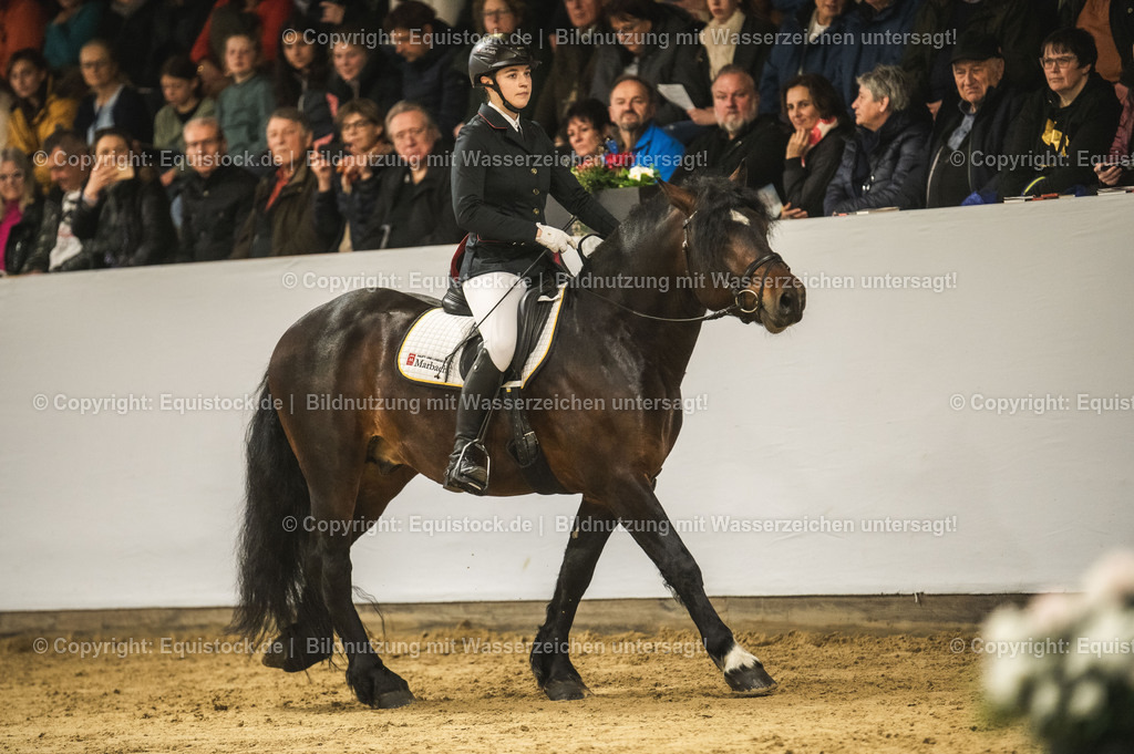 20240302_Hengstvorstellung_Marbach_TOMsPiC_0281-2 | equistock