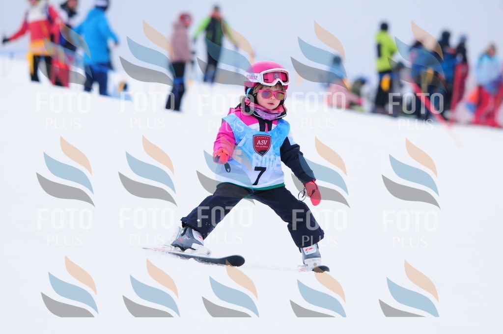 A3341 | holidayphoto