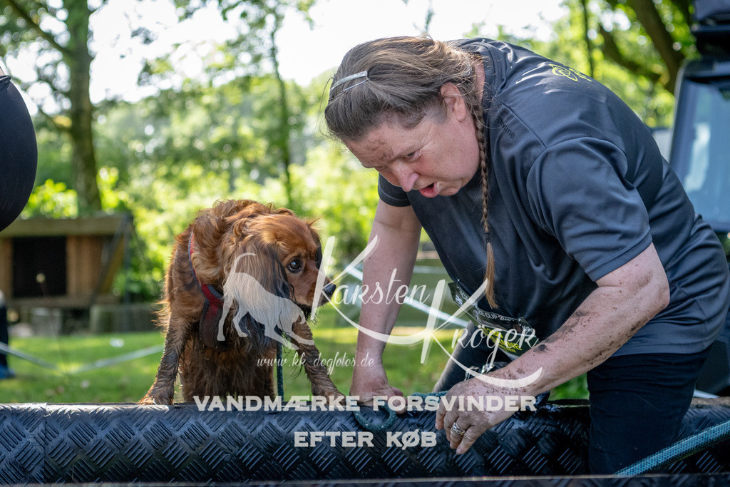 1523_ZZ91055 | kk-dogfotos