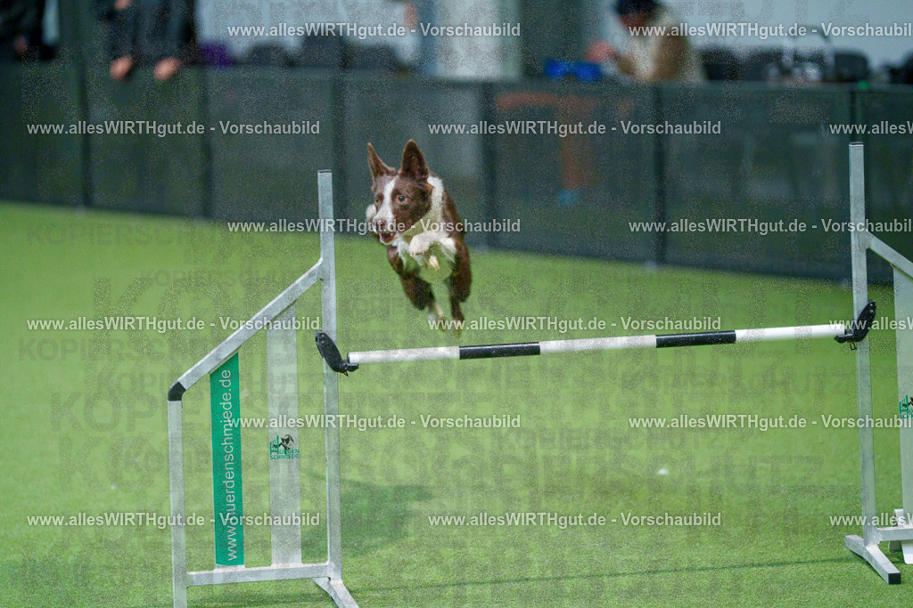 @allesWIRTHgut_Tierfotografie - www.allesWIRTHgut.de - 2604250943-7R508808 | Professionelle Tierfotografie in Mönchengladbach von Daniel Wirth (allesWIRTHgut). Liebevolle & natürliche Bilder von Hunden & Katzen für unvergessliche Erinnerungen.