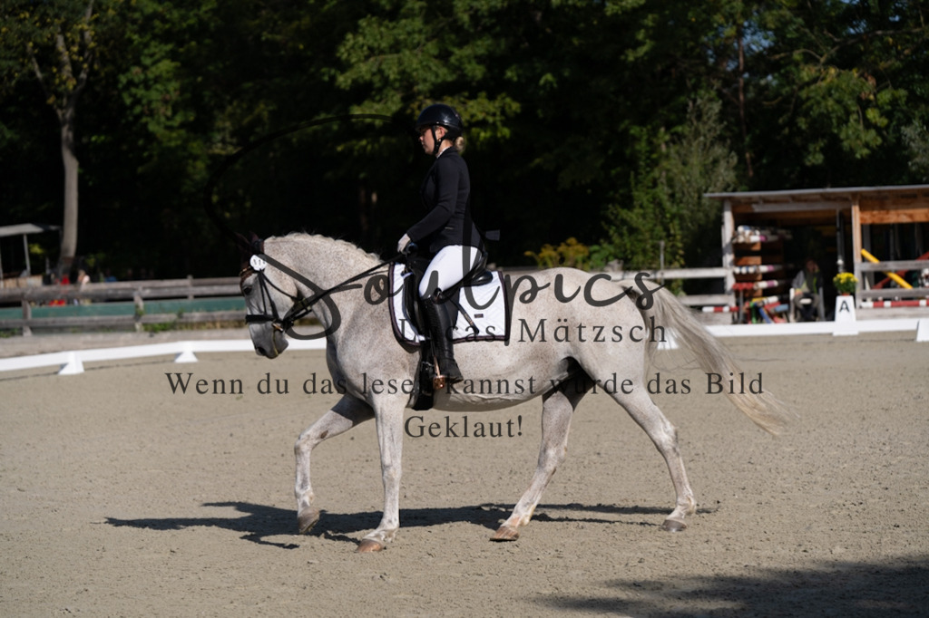A7V06881 | Turnier/Reitfotograf