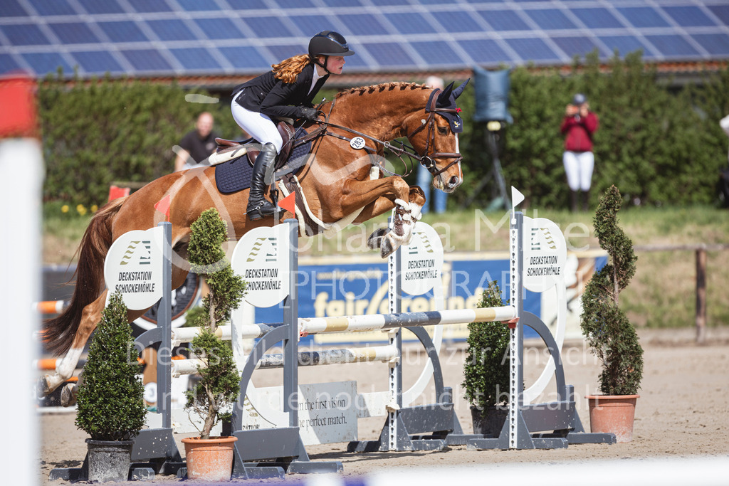 250419_Frühlingsfest_Stil-A2-2-611 | Deine schönsten Turniermomente als professionelle Fotos! Entdecke hochwertige Pferdesport-Fotografie im Online-Shop. Jetzt Fotos finden & bestellen!