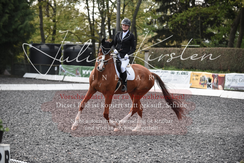 20230513_JK-Röhrsdorf-14-534 | Pferde- und Turnierfotografie in Westsachsen. Pferdeportraits, Auftragszeichnungen und intuitive Kunst.