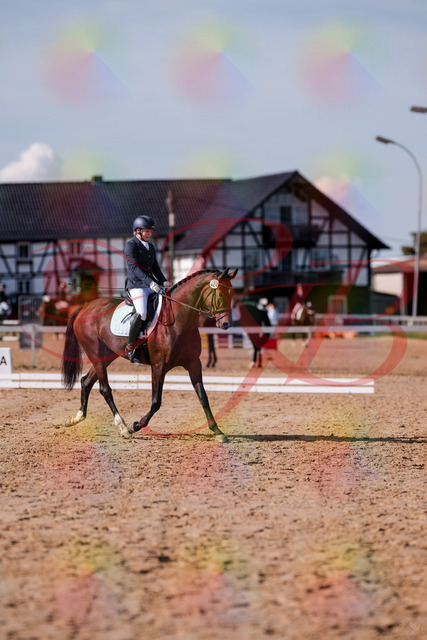 2026_10_03_Siefer-Hof_125731_Z81_45866727 | Professionelle Reitsport-, Turnier- und Eventfotografie von Robert Broda. Galerien mit ausgewählten und bearbeiteten Bildern direkt online ansehen und bestellen.