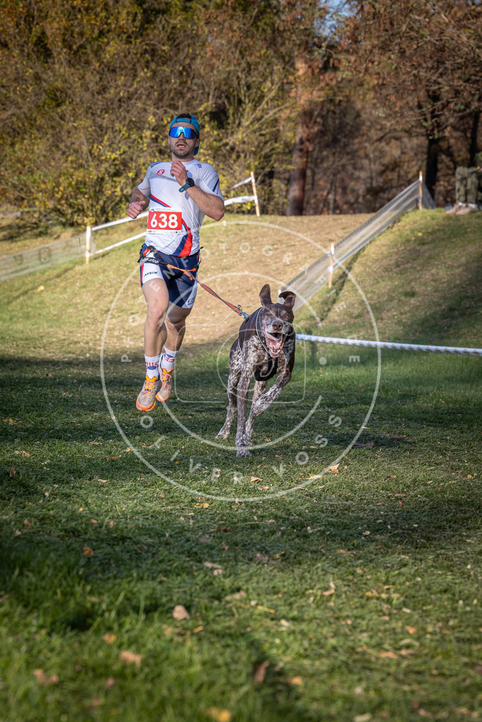 CaniXpix_0L8A8969 | Hundefotografie, Tierfotograf, Pfotenfotografie, Fotoshooting Hund, Hunde Portrait, Hundesport, Hundeportraits, Heideshooting, Hunde, Sportfotograf, Hundefotograf, Turnierhundsport, THS,  - Realisiert mit Pictrs.com