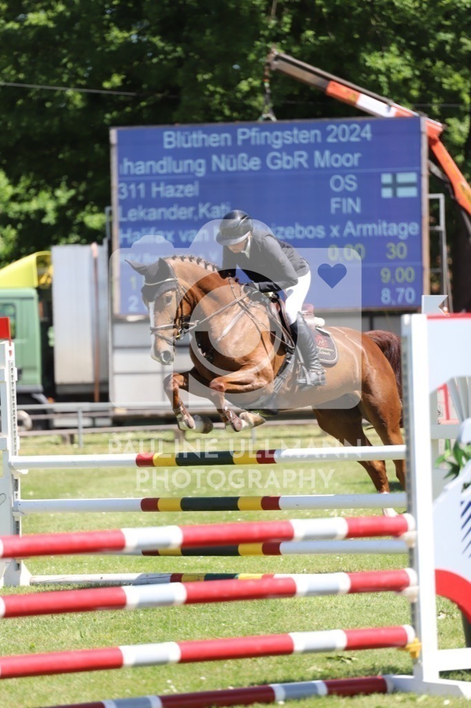 IMG_6337 | Pauline Ullmann Photography - Realisiert mit Pictrs.com