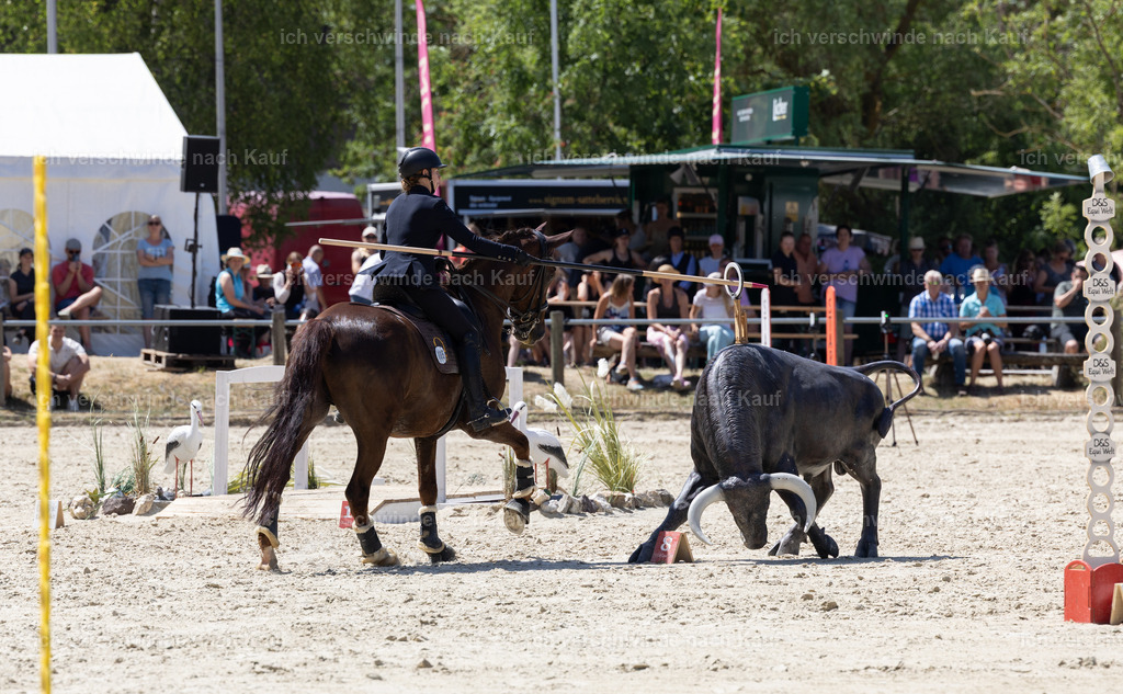 WM_Speed_5_KerstinBernhardt-7 | working equitationturnier fotograf videograf stoibphotography marixx film working equitation deutschland reitsport turnierfotografie eventfotografie equestrian events