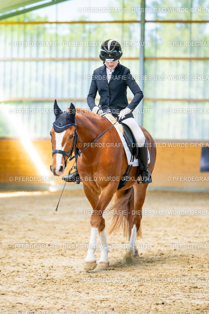 DSC06911 | Pferdegrafie