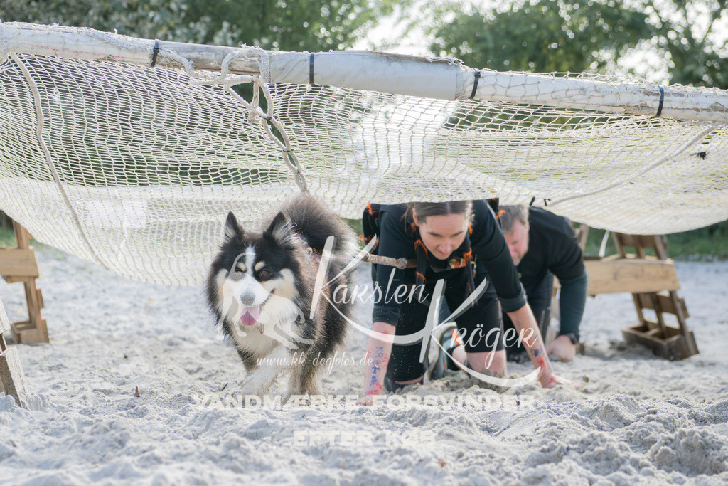 1321_ZZ96056 | kk-dogfotos