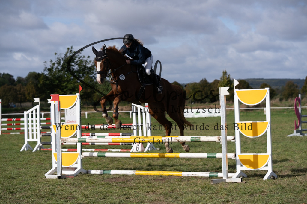 A7V06633 | Pferdefotograf