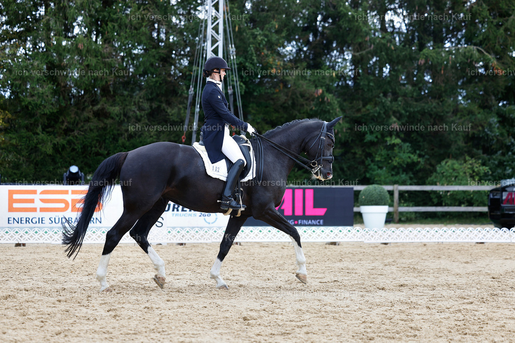6-182-AMATUER-DRESSUR S_  -StoibPH-3499 | working equitationturnier fotograf videograf stoibphotography marixx film working equitation deutschland reitsport turnierfotografie eventfotografie equestrian events