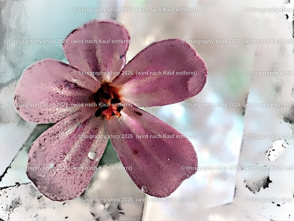 titusgraphy_P8211330_pe-02-vz-ln-a-q_pe-0 | titusgraphy-shop: Geschenkideen mit Qualitätsfotos. titusgraphy-shop: gift ideas with quality photos. titusgraphy-shop: idées cadeaux avec photos de qualité.  - Realisiert mit Pictrs.com