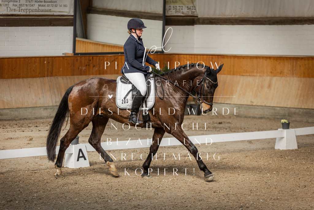 IMGT4920 | pl-fotografie