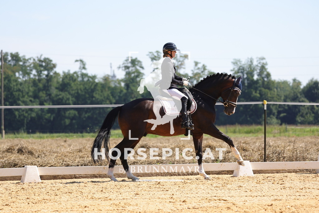 0P6A9651 | Willkommen bei Brunnmayr - Design & Fotografie – Ihrem Spezialisten für Reitturniere und Pferdeveranstaltungen in Oberösterreich, Salzburg und Bayern! Seit über 17 Jahren sind wir leidenschaftlich dabei.