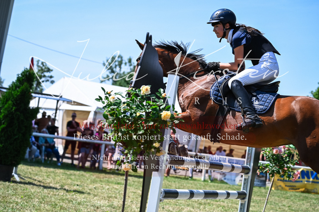 DSC_0923 | Pferde- und Turnierfotografie in Westsachsen. Pferdeportraits, Auftragszeichnungen und intuitive Kunst.