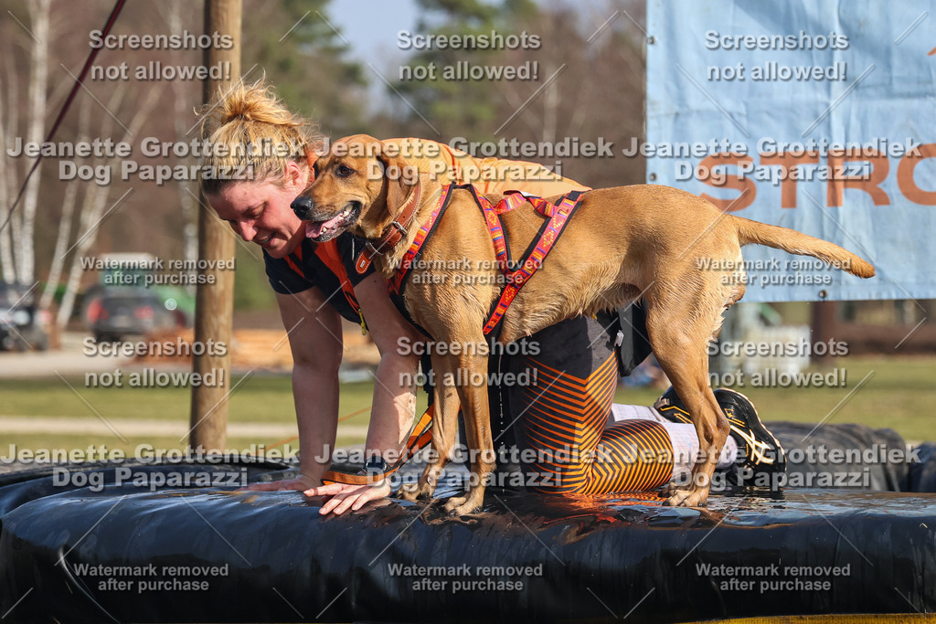 Dog Paparazzi - Strongdog North Mrz26-2535 | Dog Paparazzi Jeanette Grottendiek Fotografie & Videografie - Realisiert mit Pictrs.com