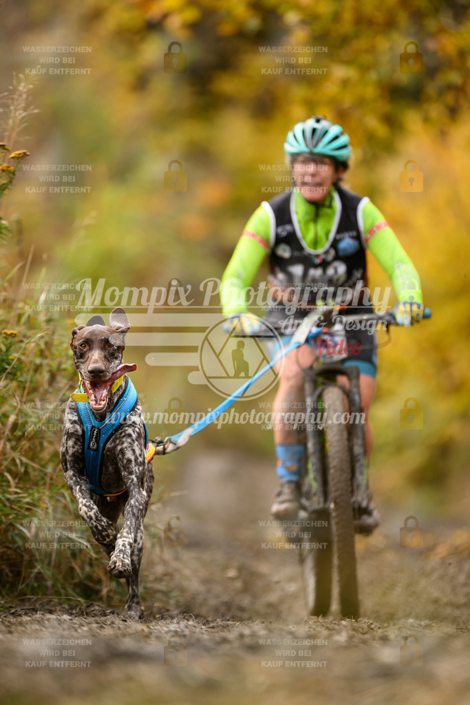 MompixPhotography_ICF_WC_2024_SA_Bike_-149 | PayLife