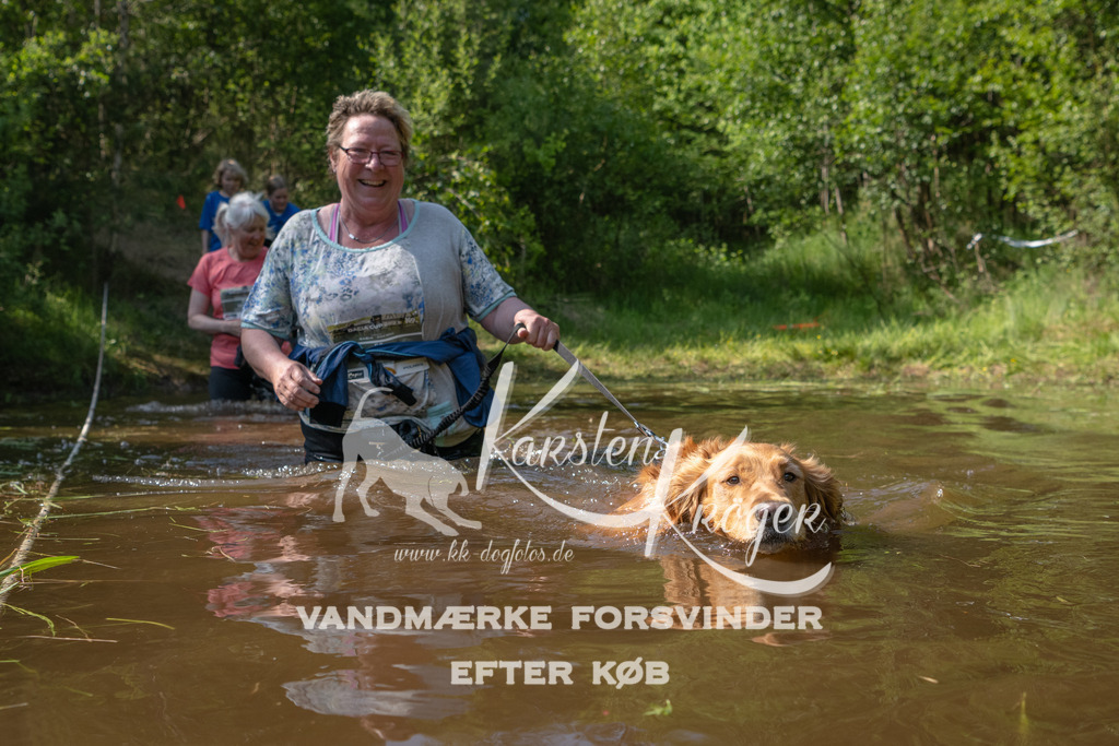 1626DKK990319 | kk-dogfotos
