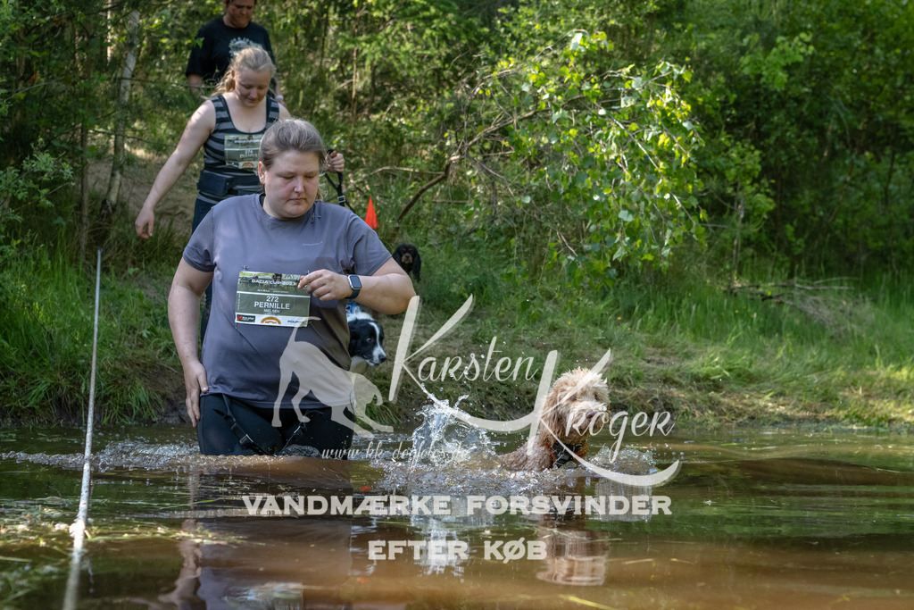 1651DKK991296 | kk-dogfotos