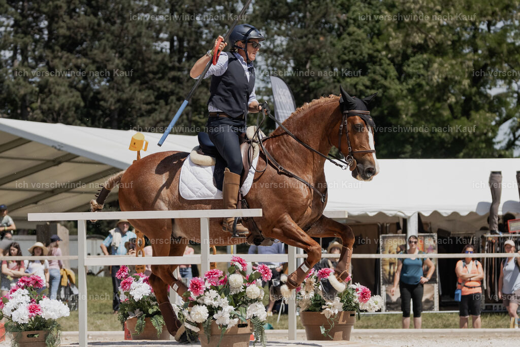 WE_SP_Stoib_323_PI2025_1906 | Pferd International München 2025