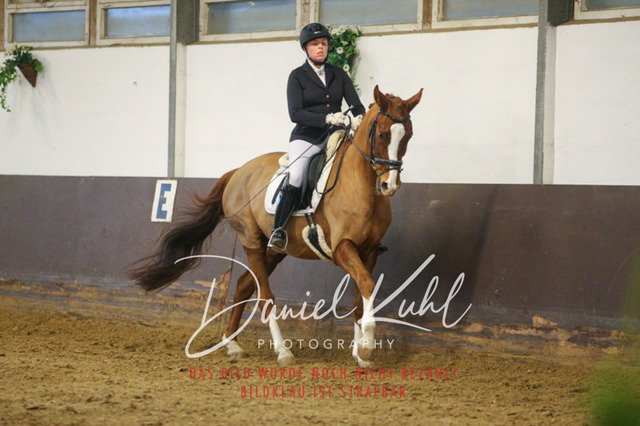 IMG_7104 | Turniersportfotografie; Pferdefotografie; Dressurfotografie