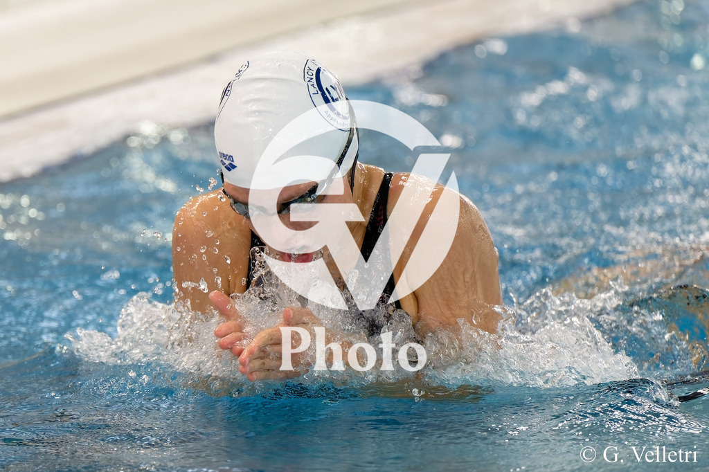 DSC_3516 | Velletri Photo