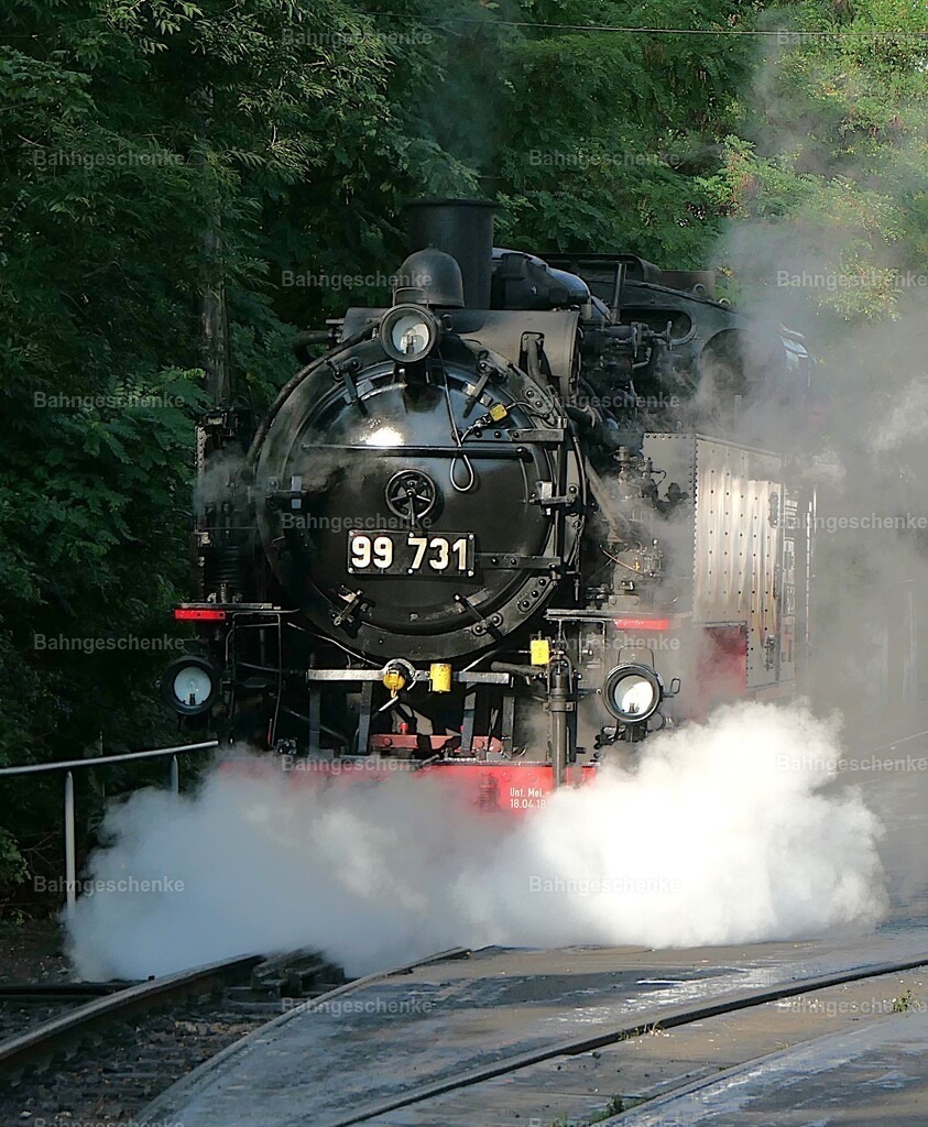 P1258336a | Stöbern Sie durch einzigartige Aufnahmen und finden die perfekte Aufnahme für jeden Eisenbahnentheusiast! Stellen Sie sich aus einer Reihe von Möglichkeiten wie der Druck auf Leinwände, Fotoposter, Kalender oder Magnetfotos Ihr Geschenk zusammen - Realisiert mit Pictrs.com
