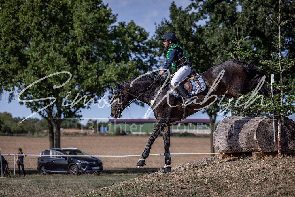 20260906-_3LI6363 | Tierfotografie Pferde, Hunde, Katzen, Haustiere.
Turnierfotografie Reitturniere, Reiten, Springreiten, Dressur in Hanau, dem Main-Kinzig-Kreis und dem Rhein-Main- Gebiet um Frankfurt