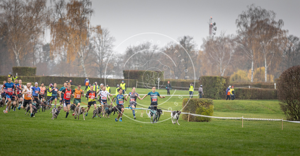 CaniXpix_DV3A9418 | Hundefotografie, Tierfotograf, Pfotenfotografie, Fotoshooting Hund, Hunde Portrait, Hundesport, Hundeportraits, Heideshooting, Hunde, Sportfotograf, Hundefotograf, Turnierhundsport, THS,  - Realisiert mit Pictrs.com