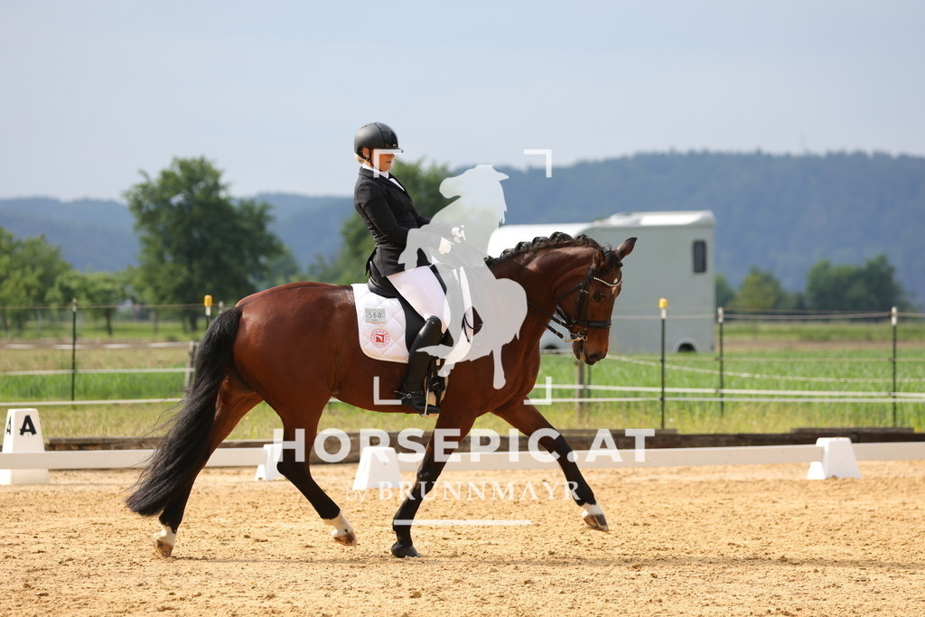 0P6A5034 | Willkommen bei Brunnmayr - Design & Fotografie – Ihrem Spezialisten für Reitturniere und Pferdeveranstaltungen in Oberösterreich, Salzburg und Bayern! Seit über 17 Jahren sind wir leidenschaftlich dabei.