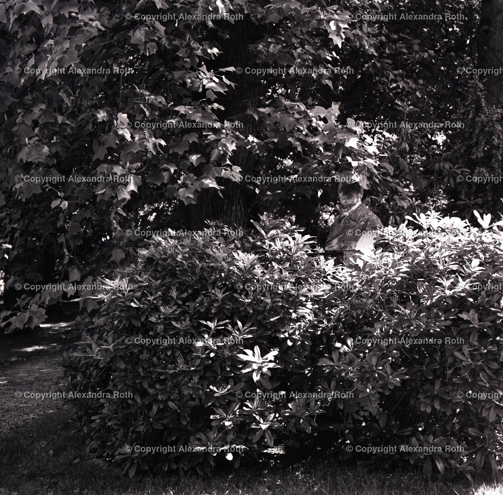 Aarau_0599 | onlineshop - Realisiert mit Pictrs.com