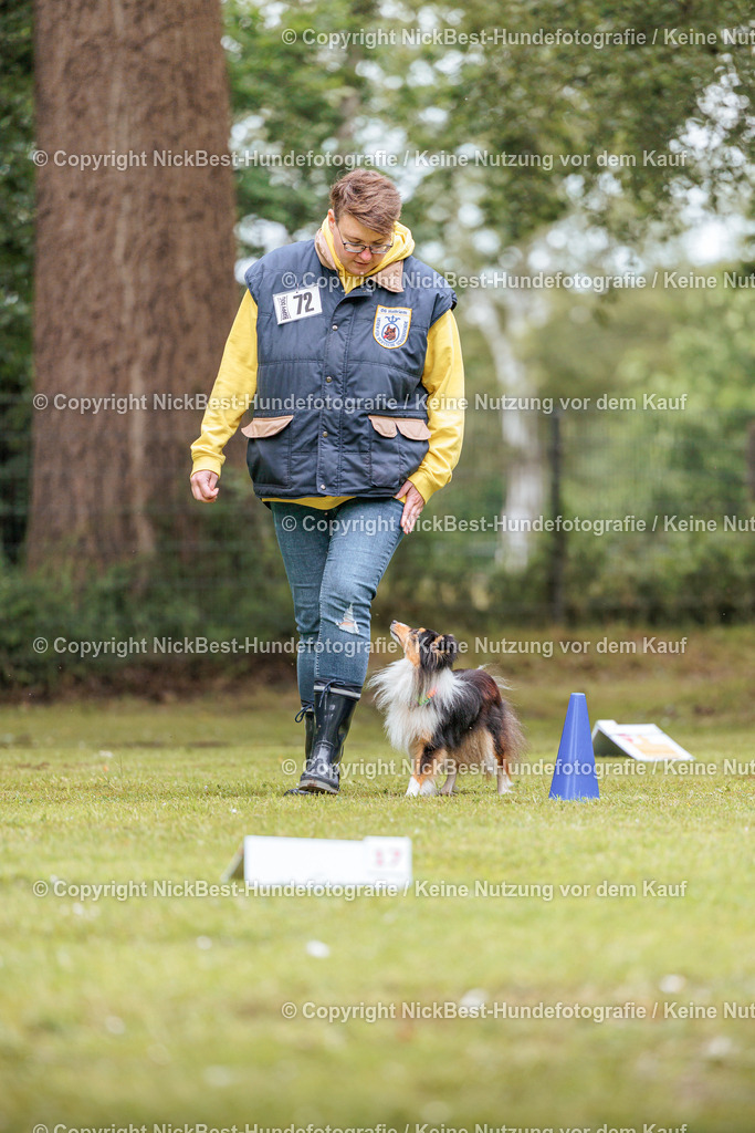 RO-Blumenthal-2026-Nickbest-Hundefotografie-2881 | Dein Hund! Dein Moment! Deine Erinnerungen! Hundefotografie in Bremen Blumenthal. Ich fange die besonderen Momente deines Vierbeiners ein – ob Indoor mit Blitzanlage oder in der freien Natur. Sicher dir dein Moment und dein Termin für eure Erinnerungen.