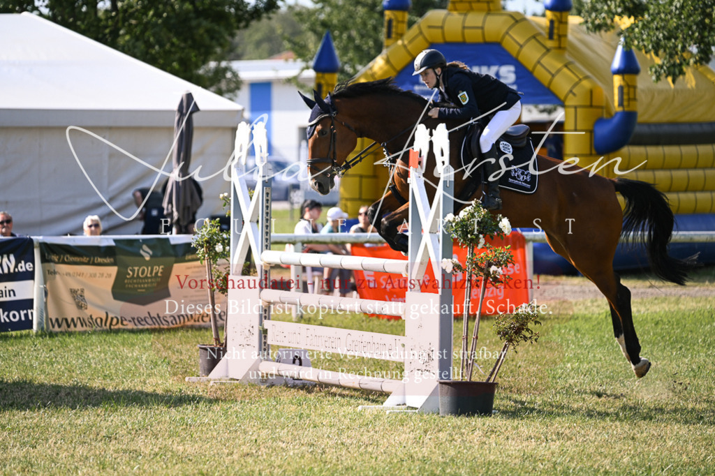DSC_1318 | Pferde- und Turnierfotografie in Westsachsen. Pferdeportraits, Auftragszeichnungen und intuitive Kunst.
