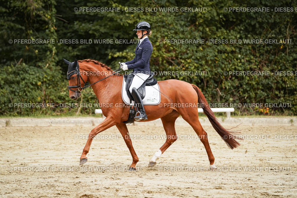 DSC09851 | Pferdegrafie