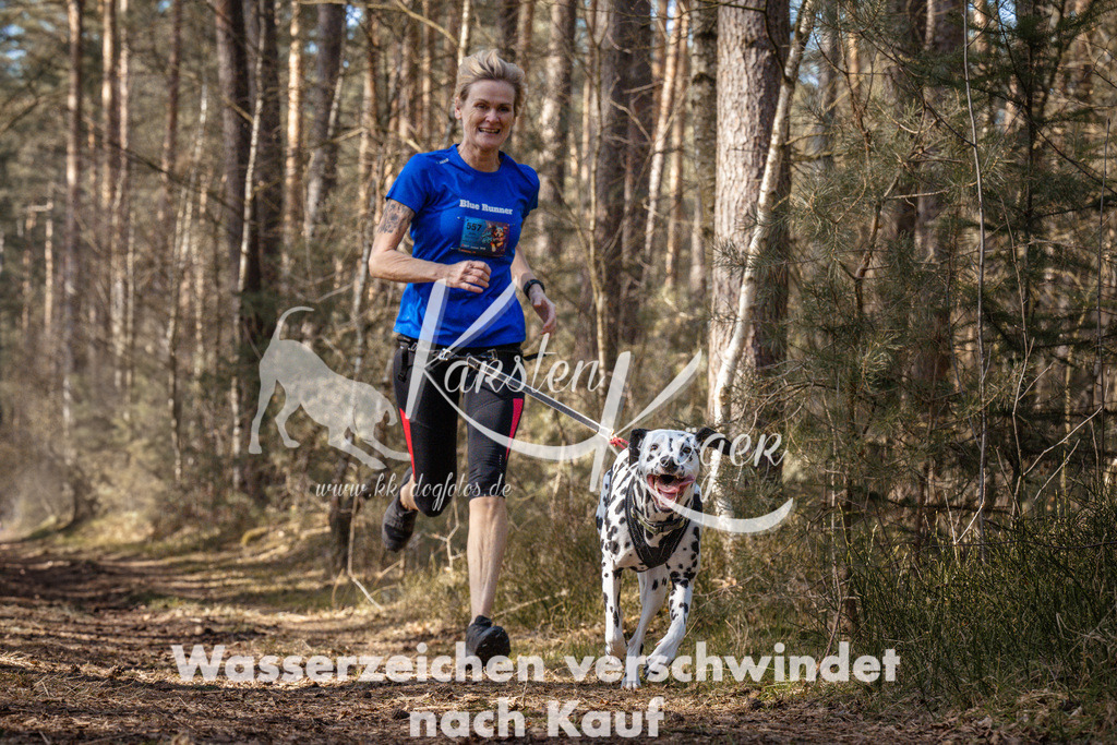 1331_ZZ94623 | kk-dogfotos