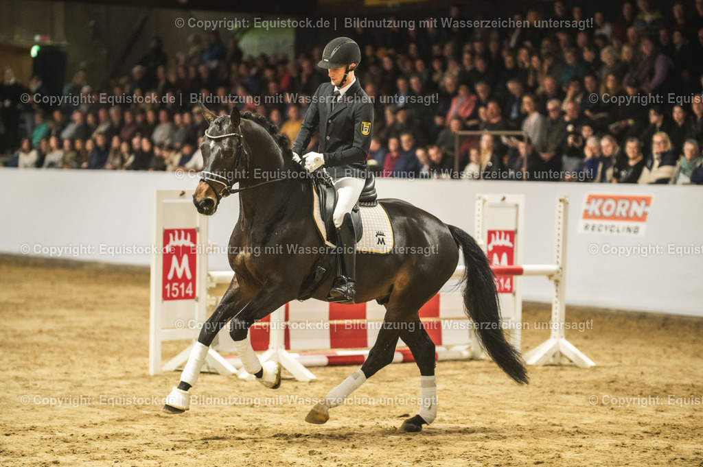 20240302_Hengstvorstellung_Marbach_TOMsPiC_0413 | equistock