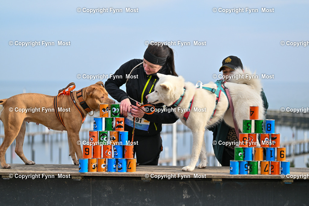 DSC_4720 | Hallo und herzlich Willkommen auf meiner Shop-Seite Fynn Most.

Ich wünsche Dir viel Spaß beim stöbern durch die Bilder, wenn Du Fragen hast oder Bilder vermisst, kannst du mir gerne eine Nachricht schreiben. - Realisiert mit Pictrs.com