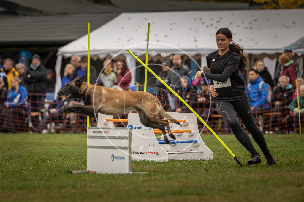 Pfotenfotografie_DV3A6338 | Hundefotografie, Tierfotograf, Pfotenfotografie, Fotoshooting Hund, Hunde Portrait, Hundesport, Hundeportraits, Heideshooting, Hunde, Sportfotograf, Hundefotograf, Turnierhundsport, THS,  - Realisiert mit Pictrs.com