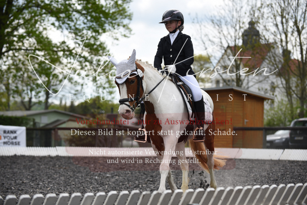 20230513_JK-Röhrsdorf-16-247 | Pferde- und Turnierfotografie in Westsachsen. Pferdeportraits, Auftragszeichnungen und intuitive Kunst.