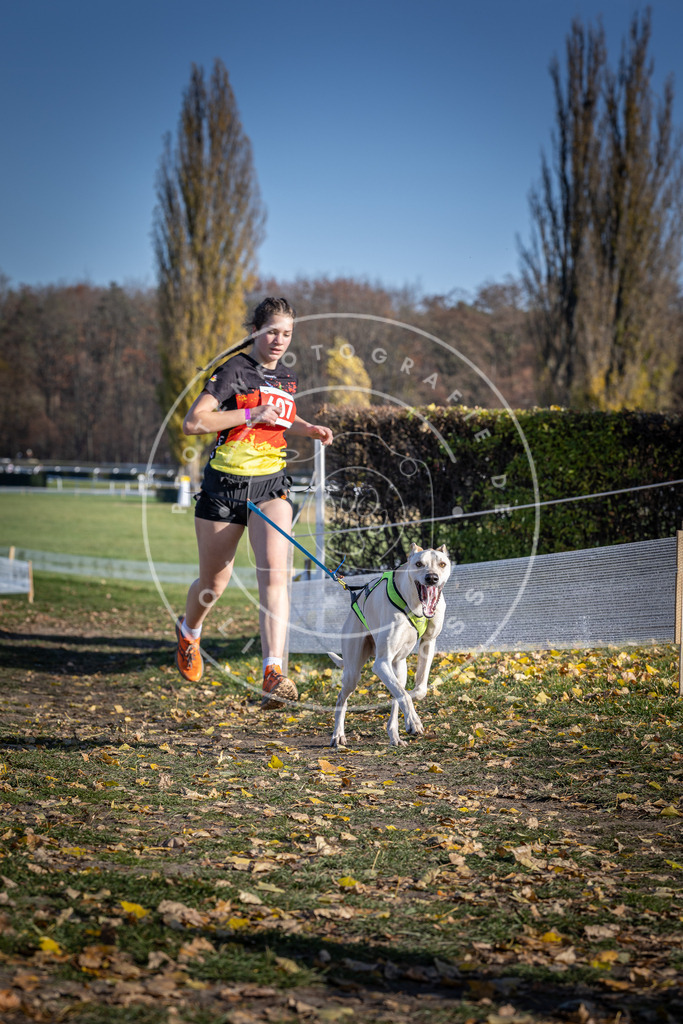 CaniXpix_DV3A9694 | Hundefotografie, Tierfotograf, Pfotenfotografie, Fotoshooting Hund, Hunde Portrait, Hundesport, Hundeportraits, Heideshooting, Hunde, Sportfotograf, Hundefotograf, Turnierhundsport, THS,  - Realisiert mit Pictrs.com
